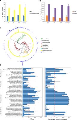 Mucin-degrading gut commensals isolated from healthy faecal donor suppress intestinal epithelial inflammation and regulate tight junction barrier function